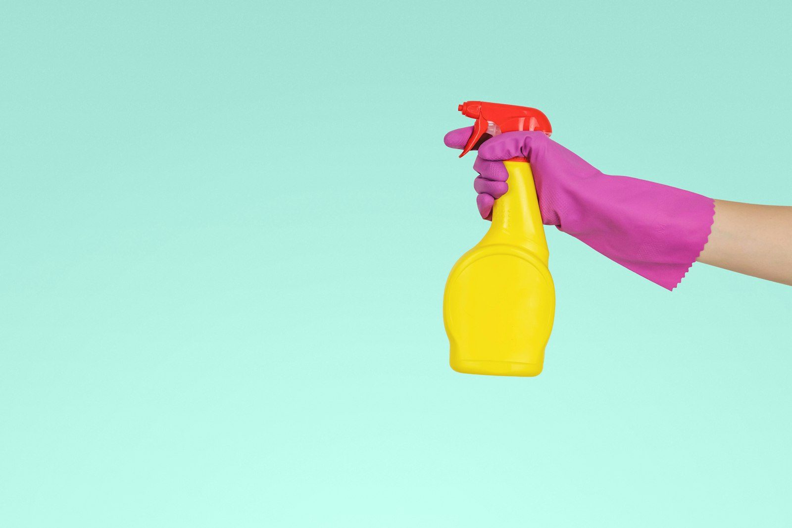 Fresh & bright, illustrative photo